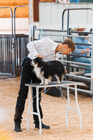 DAY2DOGSHOW102