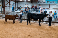 DAY4BREEDINGBEEF14