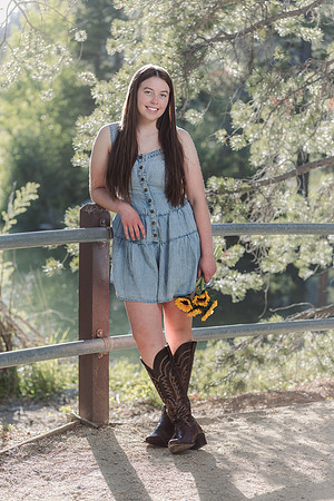 2027LIZ15