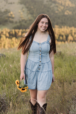 2027LIZ34