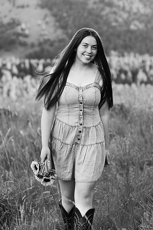 2027LIZ34BW