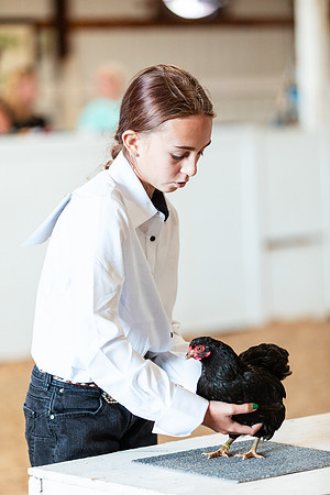 POULTRY28