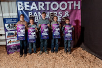 Beartooth Banners & Buckles