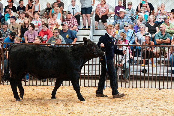 BEEF22