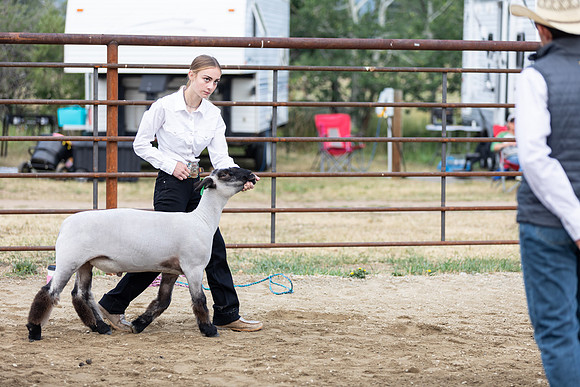 Sweepstakes41