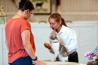 CATSHOW9