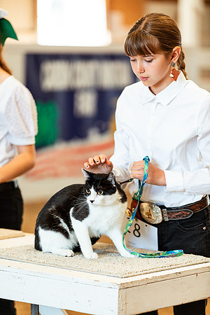 CATSHOW1