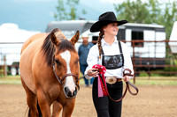 HORSE2