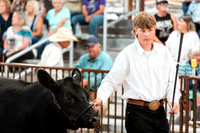 BEEF SHOWMANSHIP3