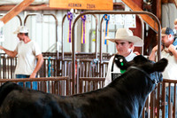 BEEF20