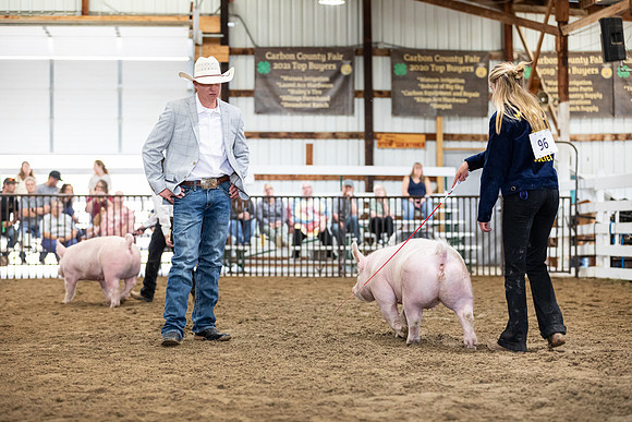 DAY4CCFAIR17