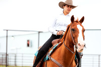 HORSE12