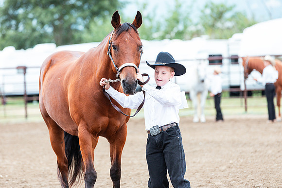 HORSE124