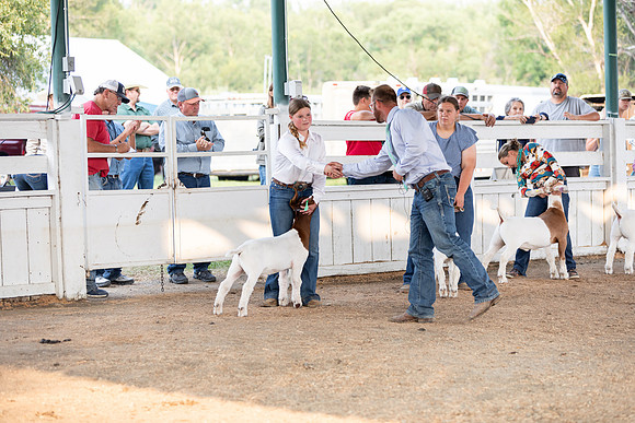 CCFairChampionofChampions41