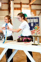 CATSHOW15