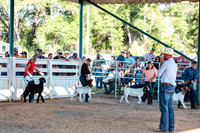 SCCofC15