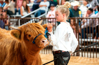 Day 4 - Market & Breeding Animal Classes, Horse Show Cont.