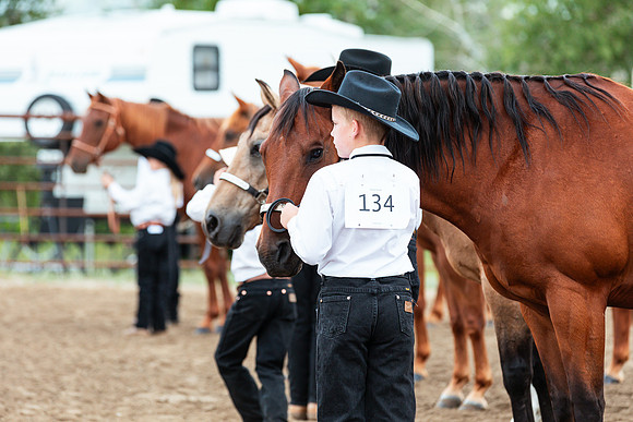 HORSE3