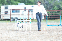 DOG14