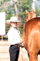 Day 3 - Horse Show