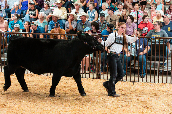 BEEF23