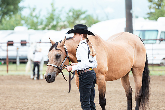 HORSE120
