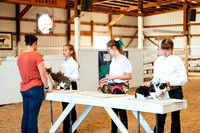 CATSHOW8