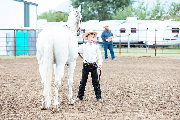 HORSE118