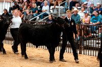 BEEF9