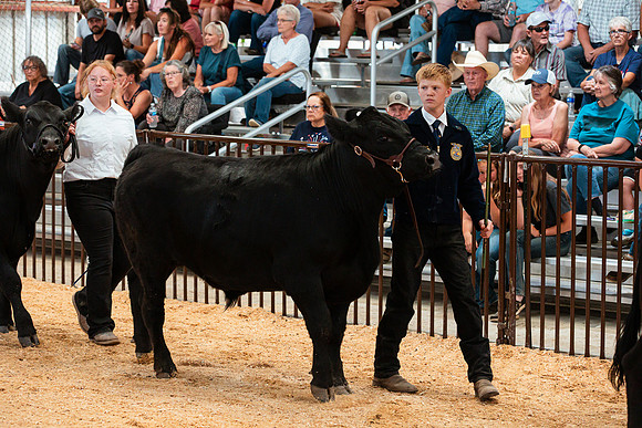 BEEF9