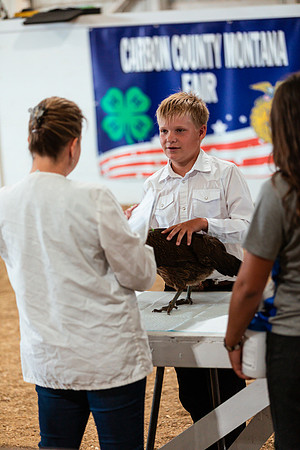 POULTRY49