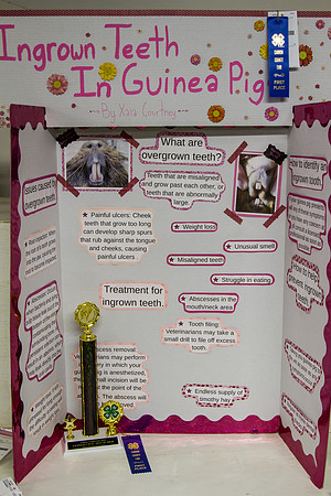 DAY1CCFAIR37