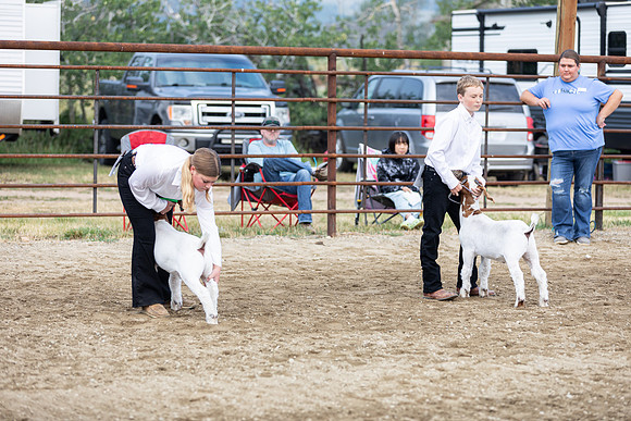 Sweepstakes44