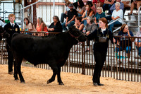 BEEF8