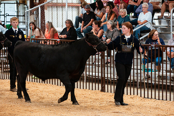 BEEF8