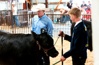 BEEF16