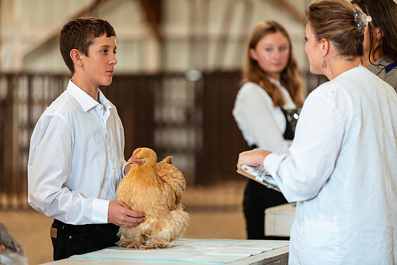 POULTRY41