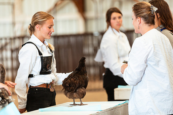 POULTRY15