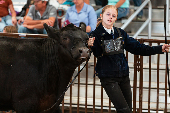 BEEF SHOWMANSHIP72