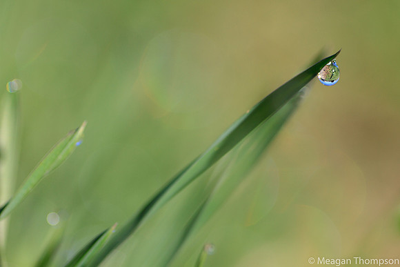 Macro4