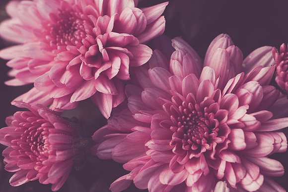 Macro9