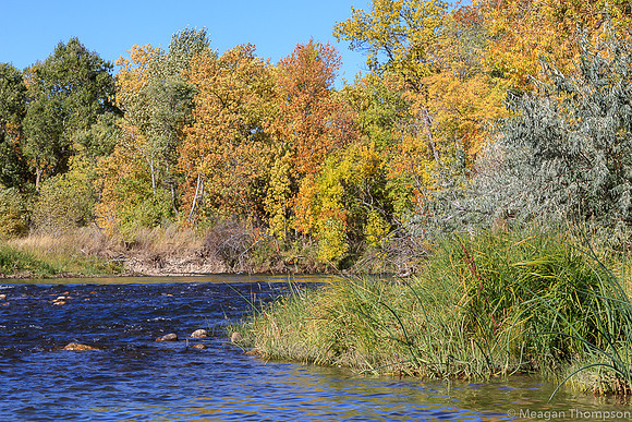 Rockcreek1