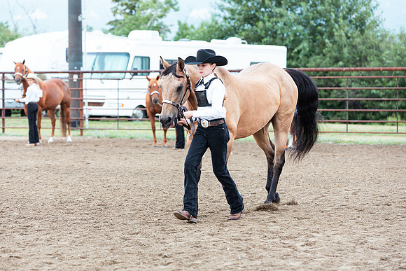 HORSE119