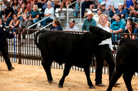 BEEF10