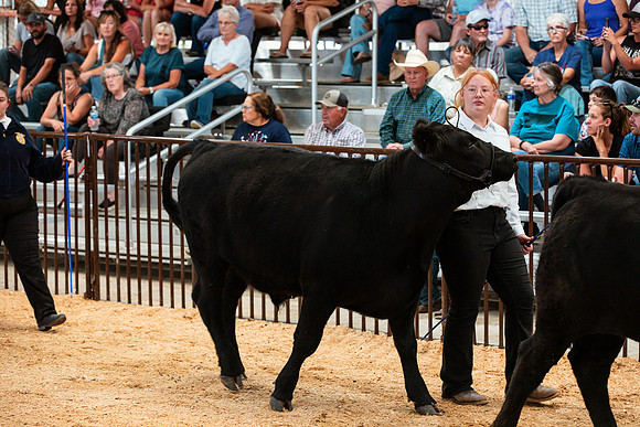 BEEF10