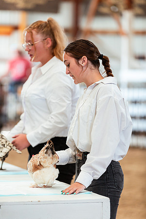 POULTRY2