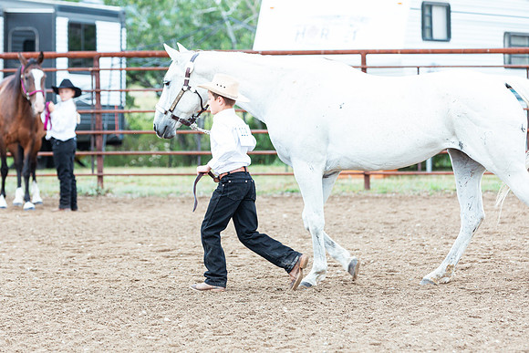 HORSE116
