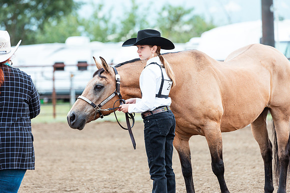 HORSE122