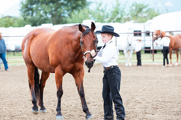 HORSE125