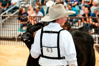 BEEF15